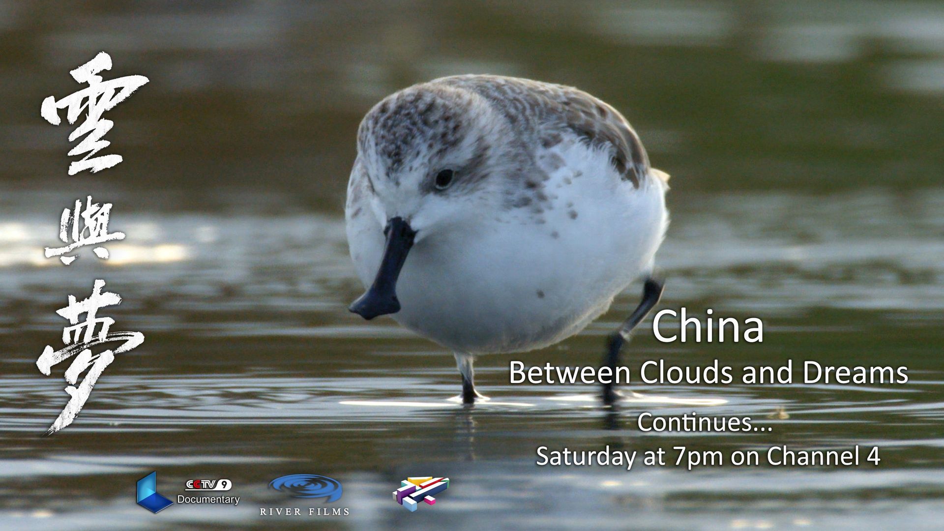 China: Between Clouds and Dreams background