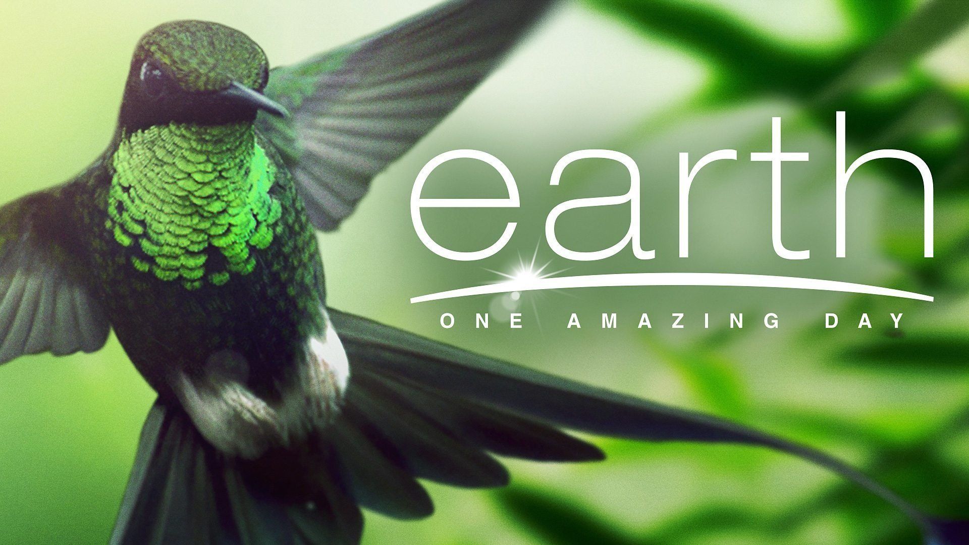 Earth: One Amazing Day background