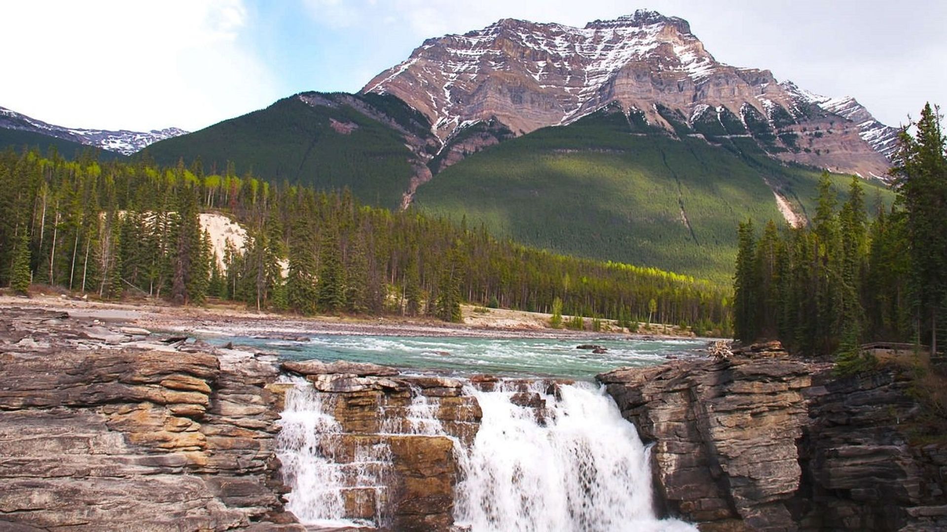 Wild Rockies background