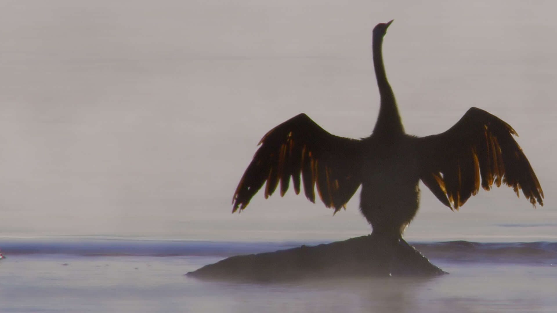 Extreme Africa background