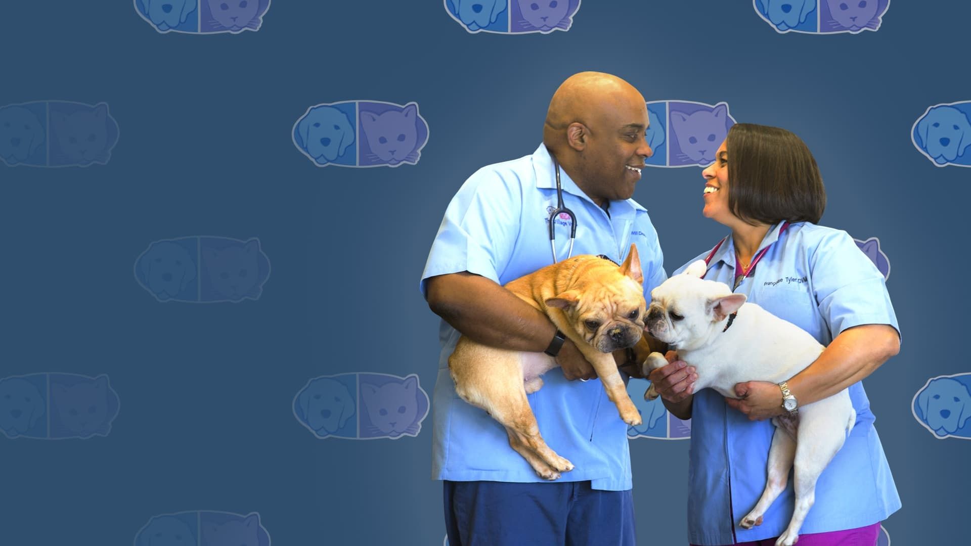Love and Vets background