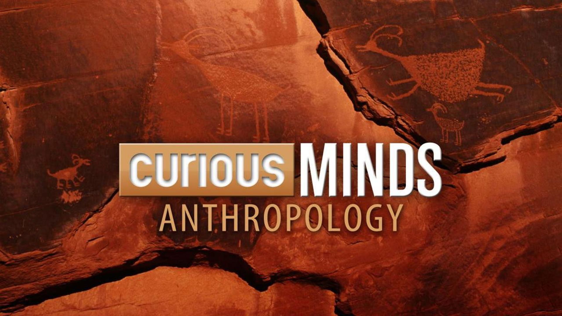 Curious Minds: Anthropology background