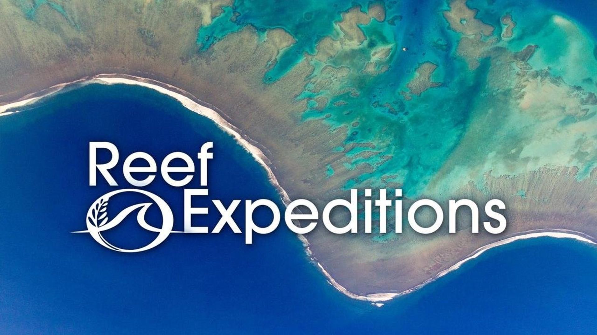 Reef Expeditions background
