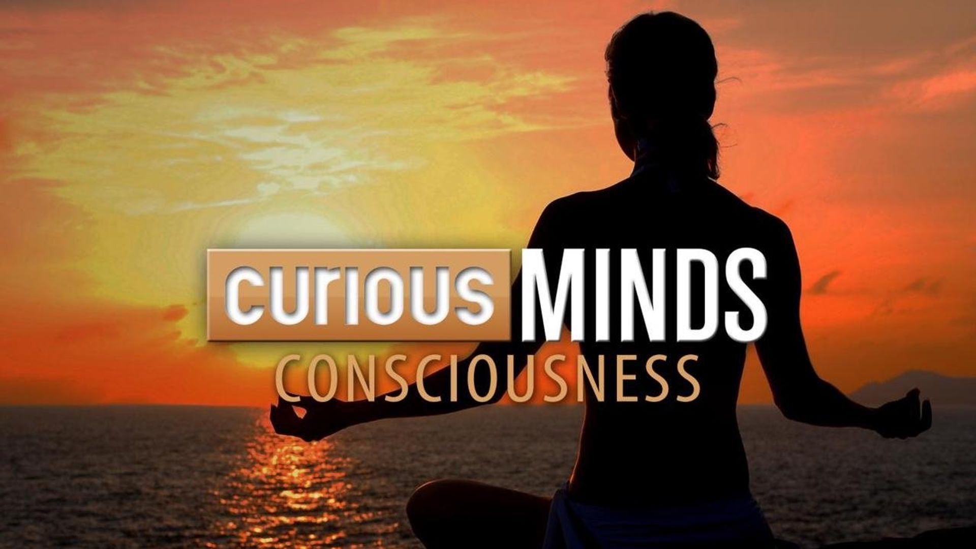 Curious Minds: Consciousness background