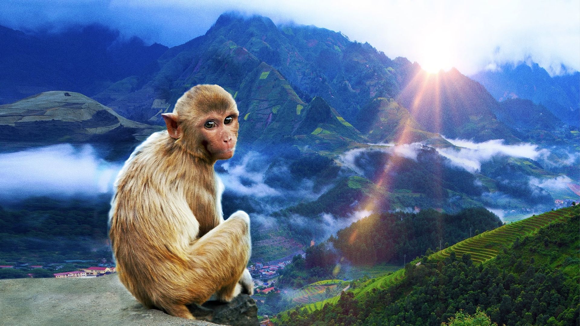 India's Lost Worlds background