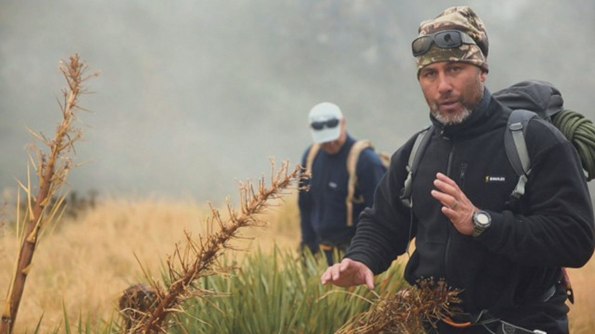 Survive Aotearoa background