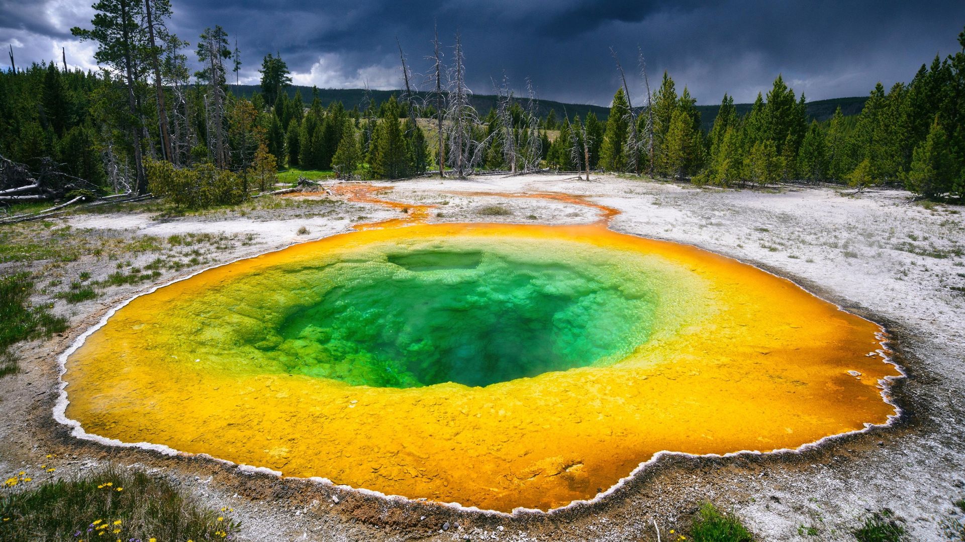 Mysteries of the Outdoors background