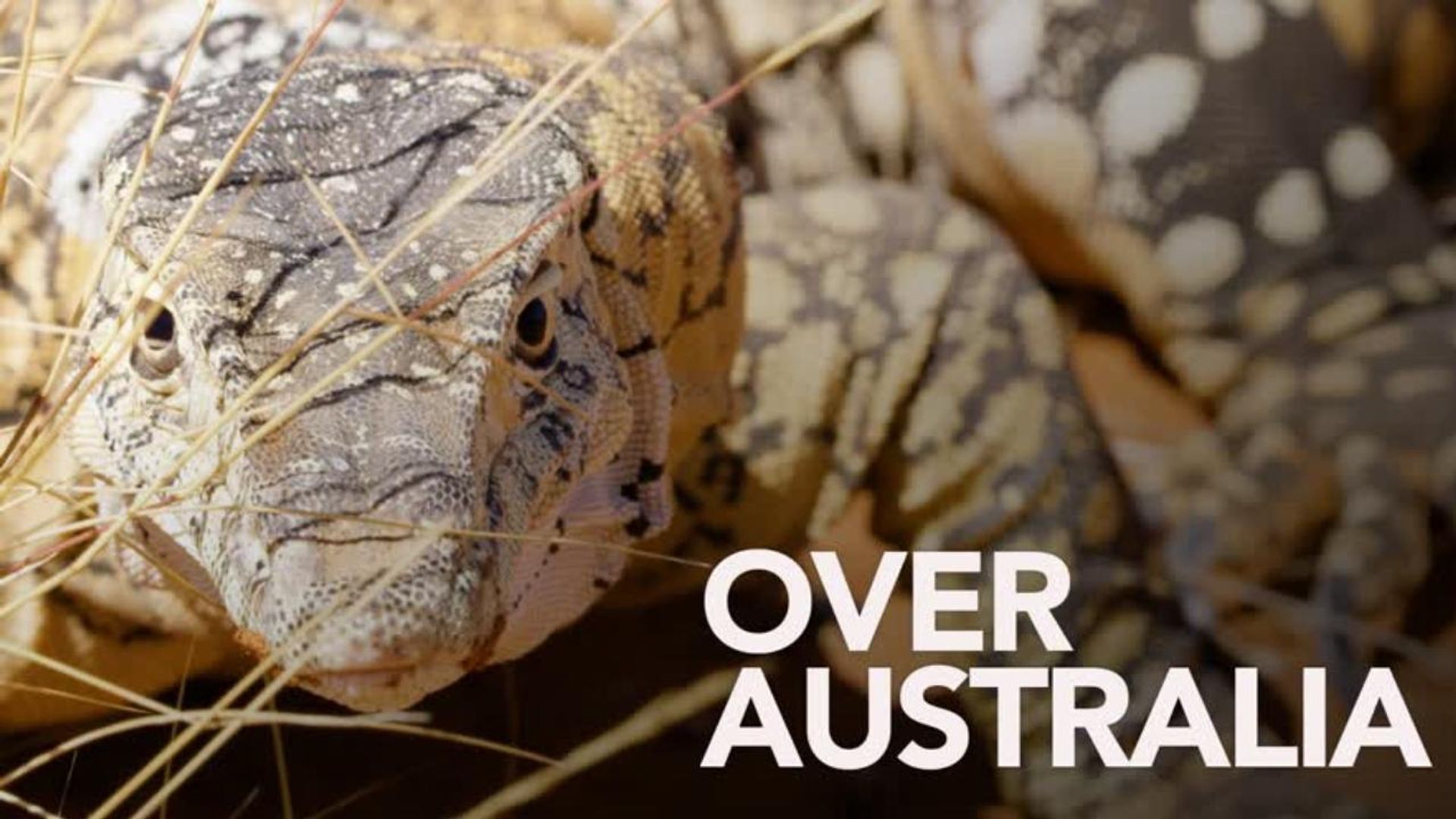 Over Australia background