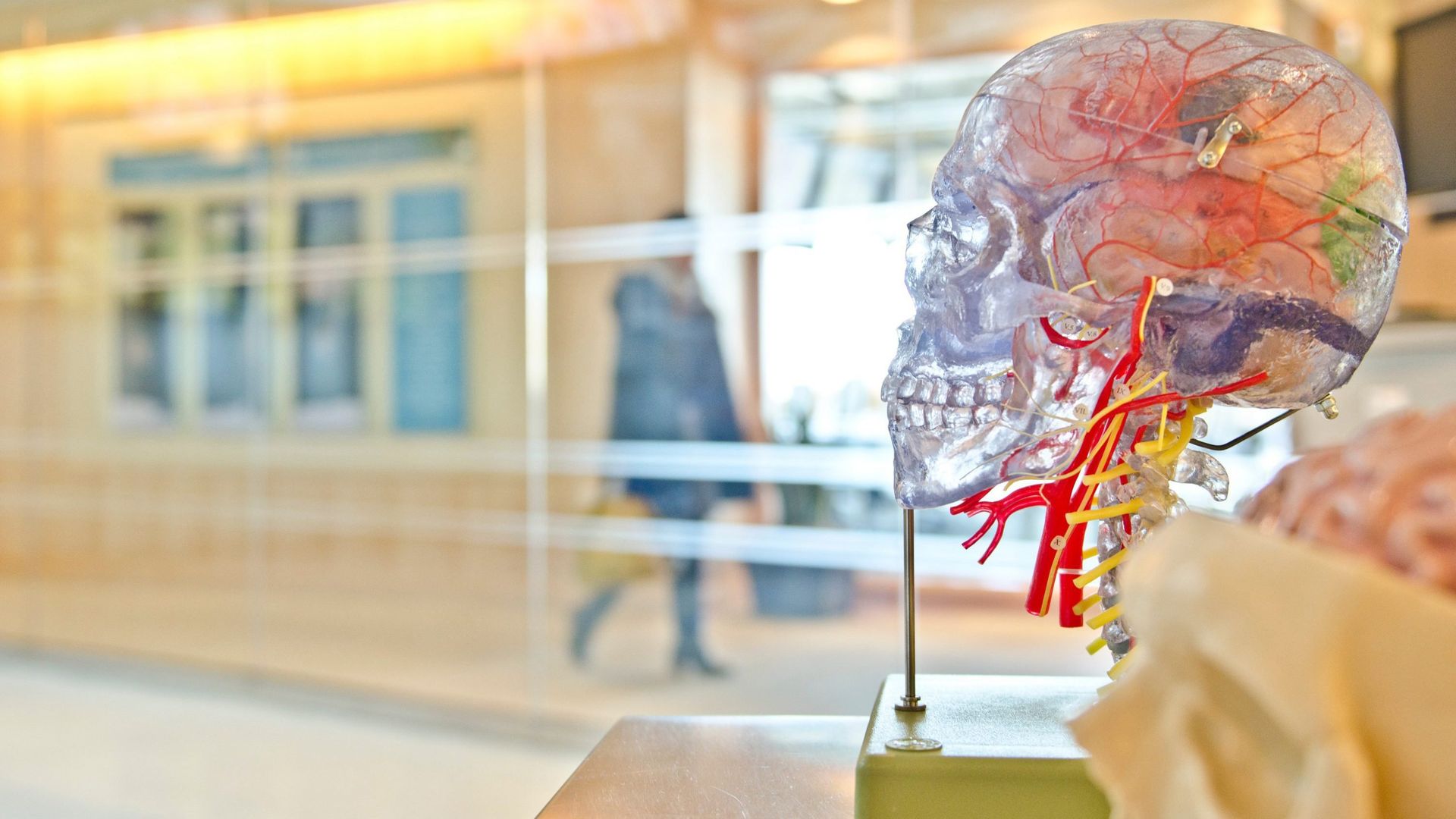 Secrets of the Brain background