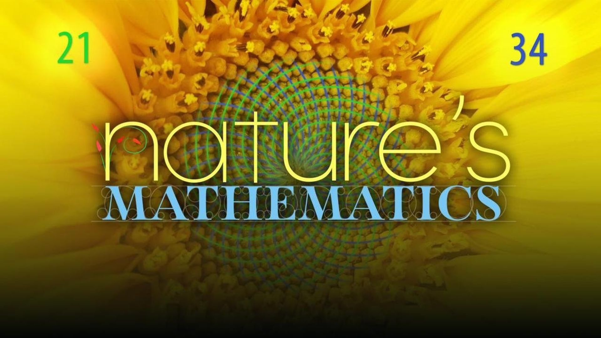 Nature's Mathematics background