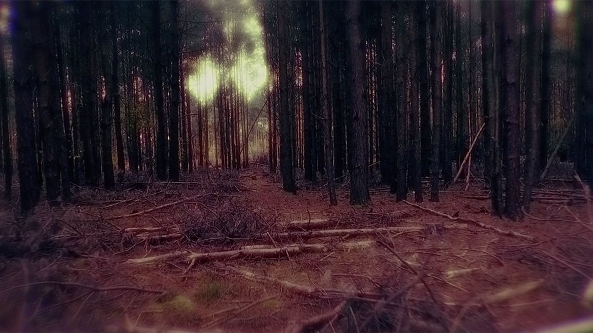 Shallow Grave background