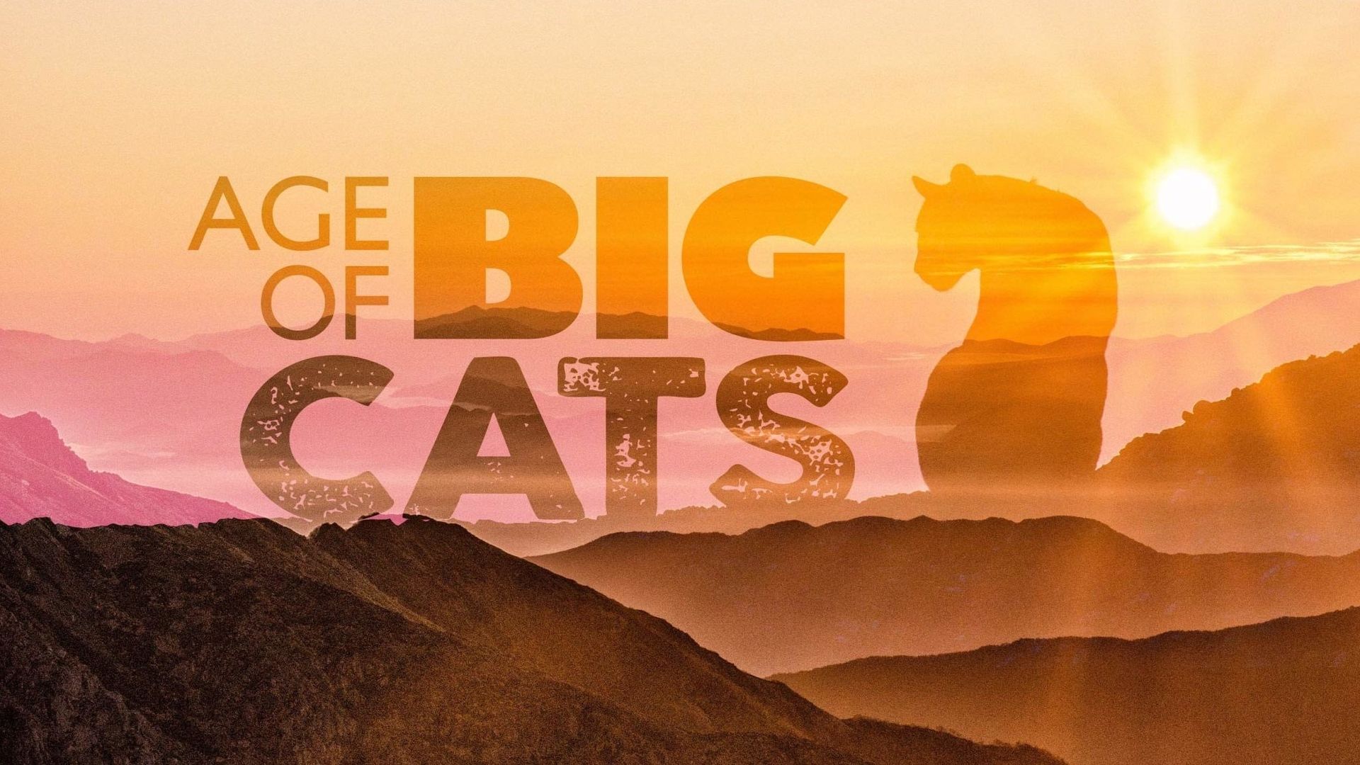 Age of Big Cats background