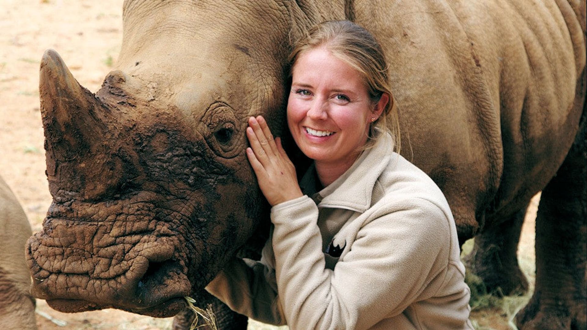 Wild Animal Reunions background