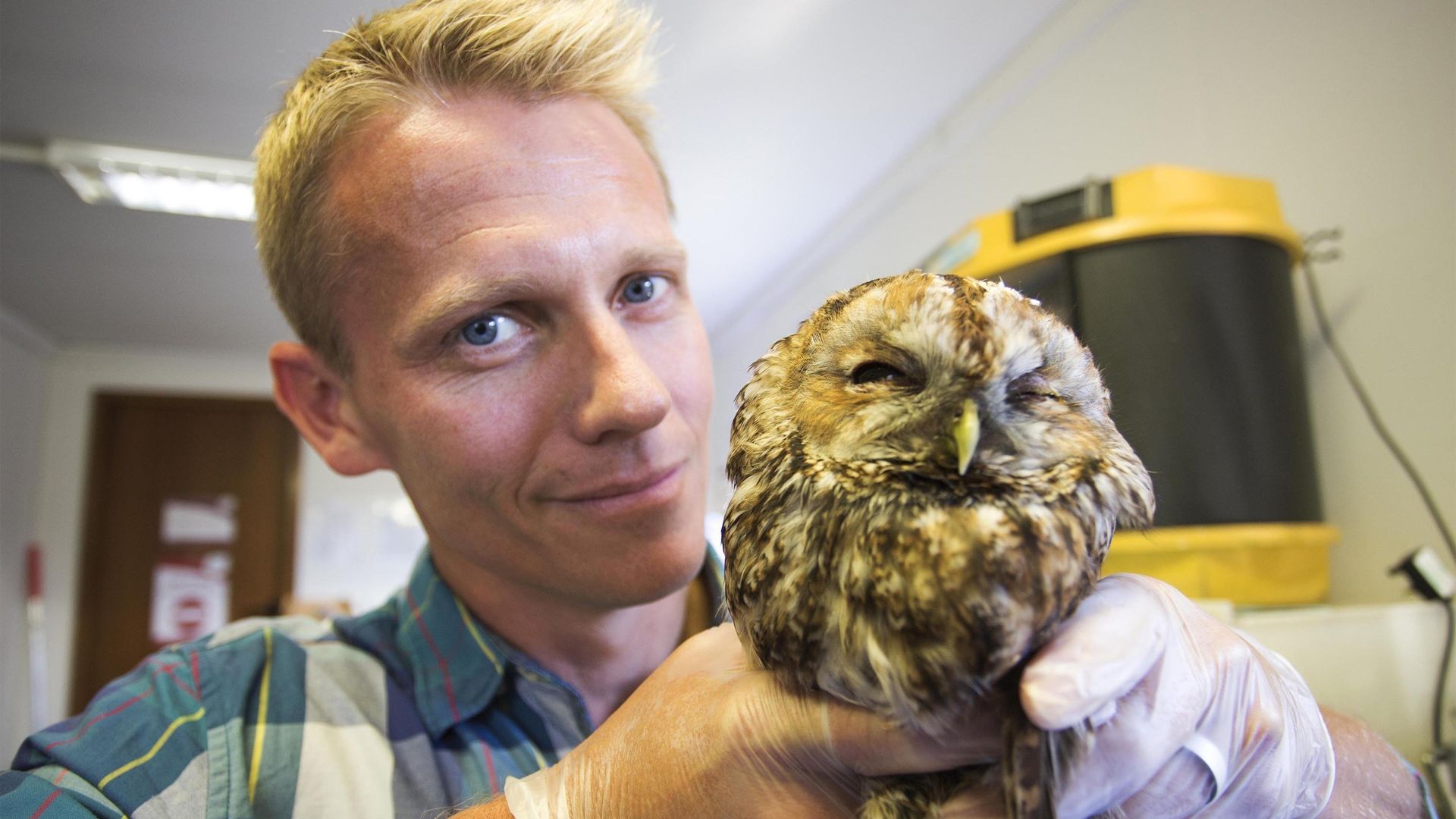 The Great Dr. Scott background