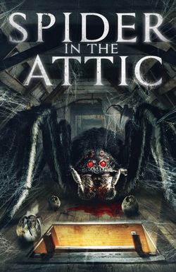 Spider in the Attic