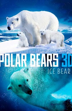 Polar Bears: Ice Bear