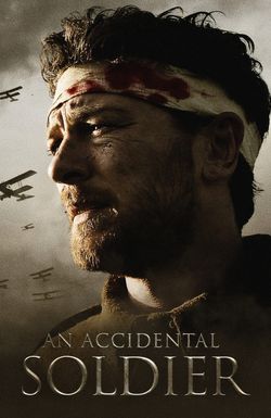 An Accidental Soldier