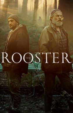 The Rooster