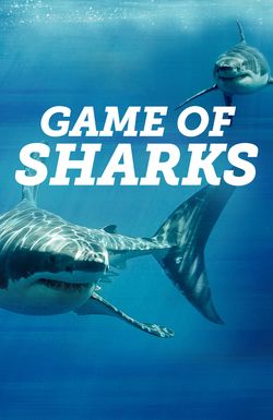 Game of Sharks