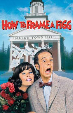 How to Frame a Figg