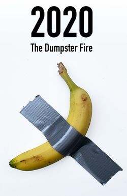 2020: The Dumpster Fire