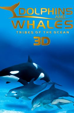 Dolphins and Whales 3D: Tribes of the Ocean