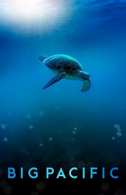Big Pacific