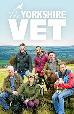 The Yorkshire Vet