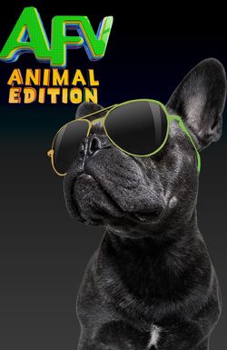 America's Funniest Videos: Animal Edition