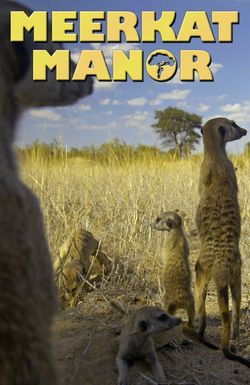 Meerkat Manor
