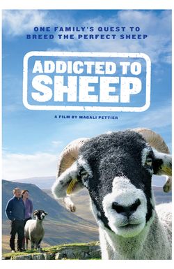 Addicted to Sheep