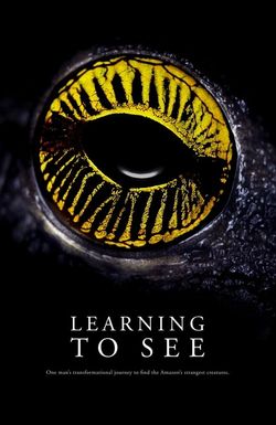 Learning to See: The World of Insects