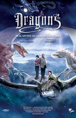 Dragons 3D