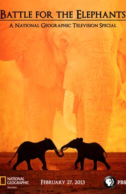 Battle for the Elephants