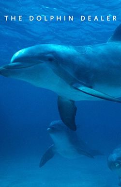 The Dolphin Dealer