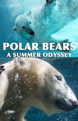Polar Bears: A Summer Odyssey