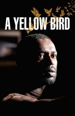 A Yellow Bird