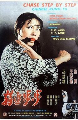 Bu bu zhui zong