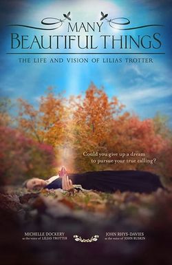 Many Beautiful Things