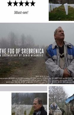 The Fog of Srebrenica