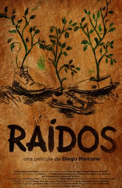 Raídos