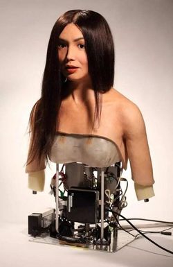 How to Build a Human