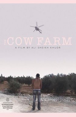 The Cow Farm