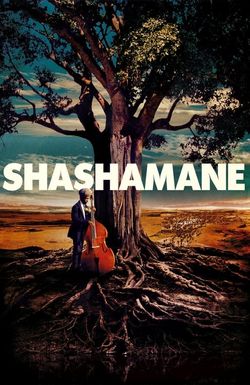 Shashamane