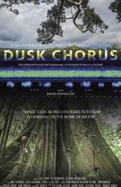 Dusk Chorus