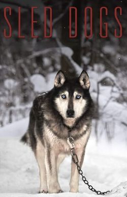 Sled Dogs