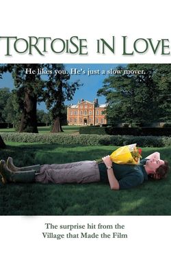 Tortoise in Love