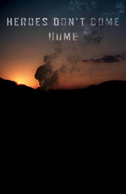 Heroes Don't Come Home