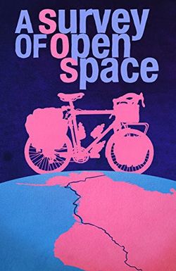A Survey of Open Space
