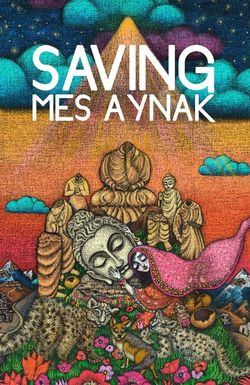 Saving Mes Aynak